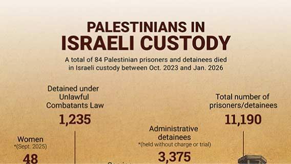 Palestinians in Israeli custody
