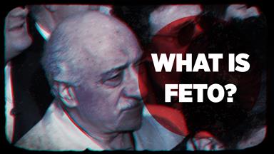 What is FETO?