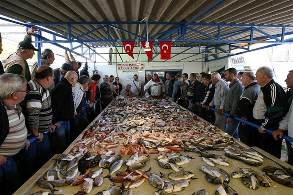 ALACATI'DA BALIK MEZATI