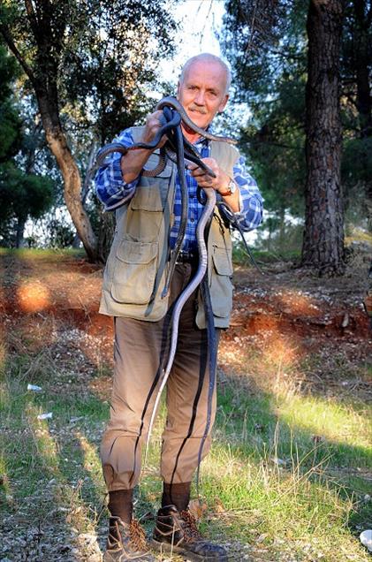 SELE KIS UYKUSUNDA YAKALANDILAR