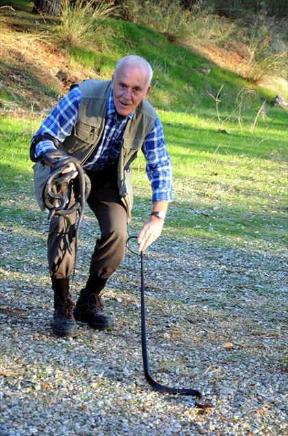 SELE KIS UYKUSUNDA YAKALANDILAR