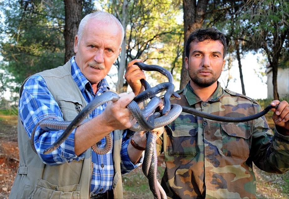 SELE KIS UYKUSUNDA YAKALANDILAR