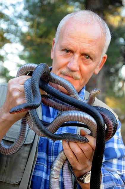 SELE KIS UYKUSUNDA YAKALANDILAR 