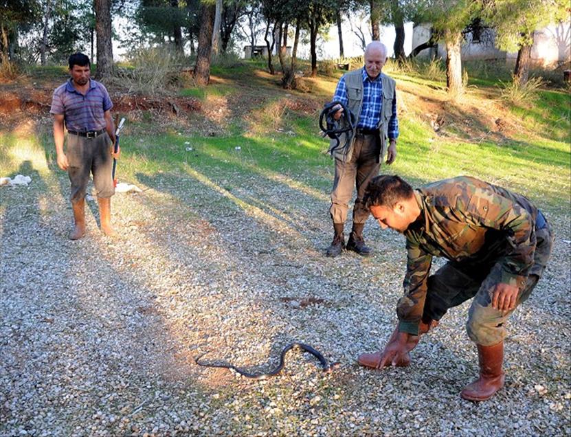 SELE KIS UYKUSUNDA YAKALANDILAR 