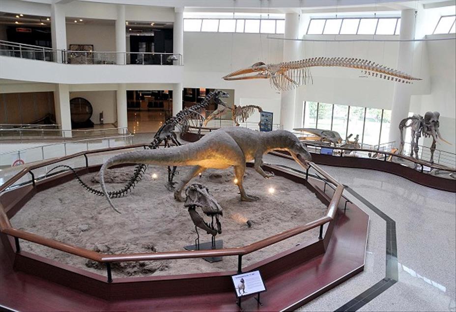 TURKIYE'NIN ''JURASSIC PARKI''NI 4 AYDA 25 BIN 500 KISI GEZDI