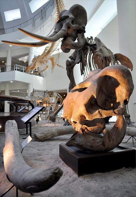 TURKIYE'NIN ''JURASSIC PARKI''NI 4 AYDA 25 BIN 500 KISI GEZDI
