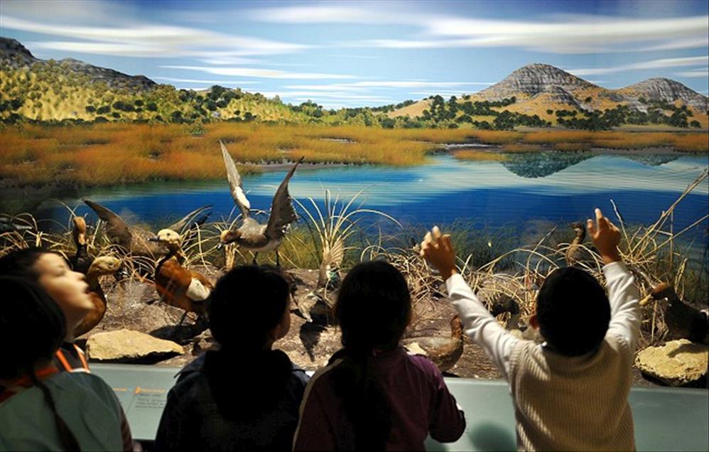 TURKIYE'NIN ''JURASSIC PARKI''NI 4 AYDA 25 BIN 500 KISI GEZDI