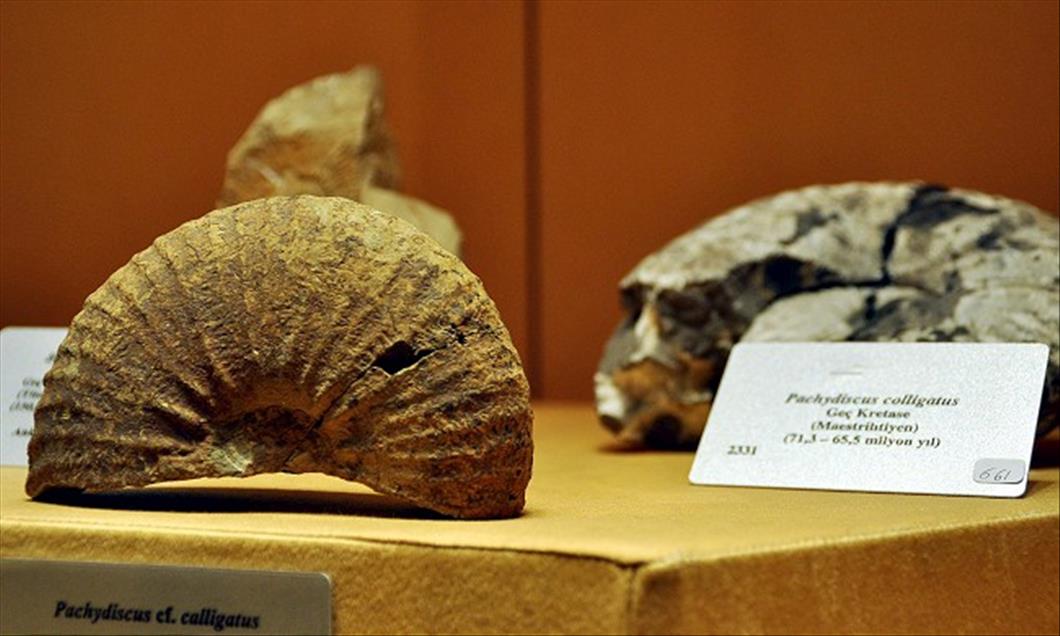 TURKIYE'NIN ''JURASSIC PARKI''NI 4 AYDA 25 BIN 500 KISI GEZDI