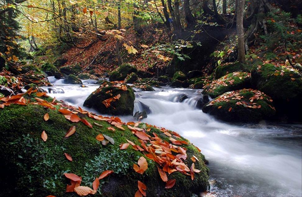 DOGU KARADENIZ'IN SAKLI CENNETLERINDEN BIRI: KARAGOL