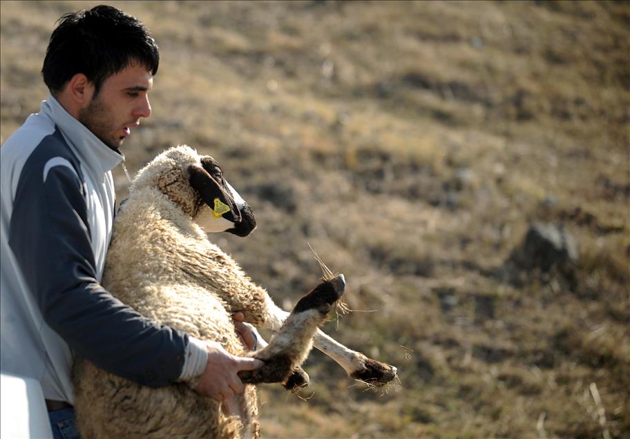 KURBAN BAYRAMI