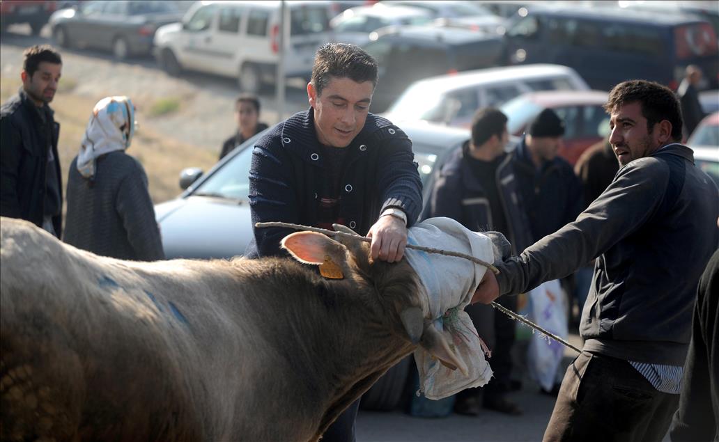 KURBAN BAYRAMI