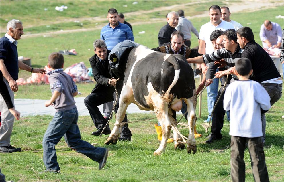 ISTANBUL'DA KURBAN KESIMLERI