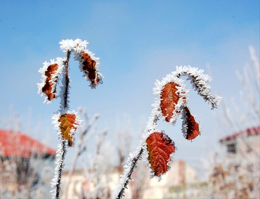TATVAN'DA SOGUK VE SISLI HAVA