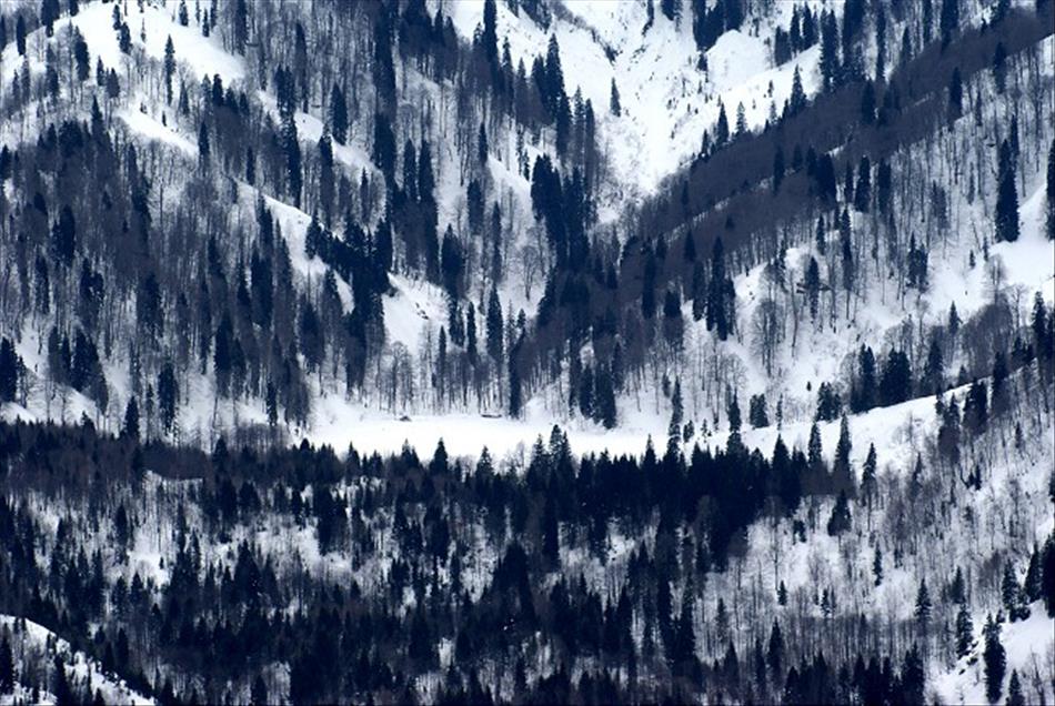 ARTVIN'DE KAR YAGISI