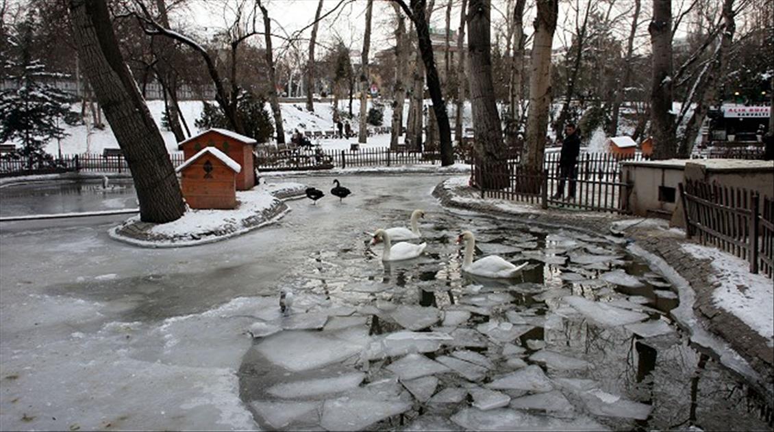 KUGULU PARK