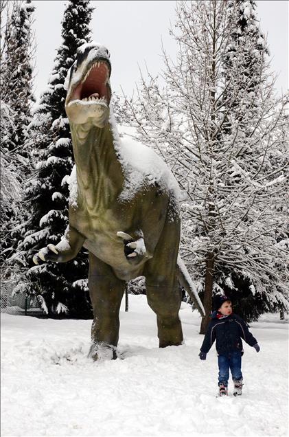 SARAYBOSNA'DA ''DINOZOR DUNYASI'' SERGISI ACILDI