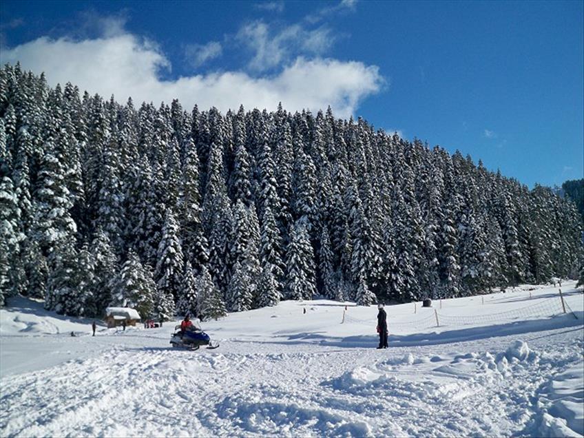 ILGAZ YILDIZTEPE KAYAK MERKEZI