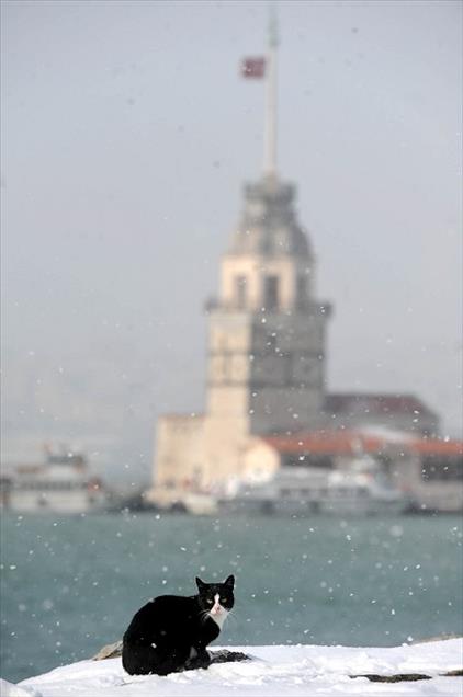 ISTANBUL'DA KAR YAGISI