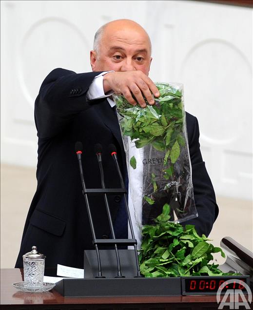 TBMM GENEL KURULU