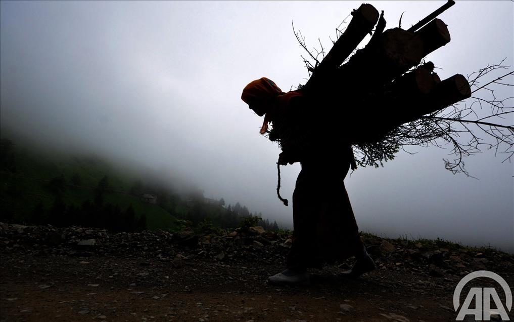 DOGU KARADENIZ'DE DORT MEVSIM