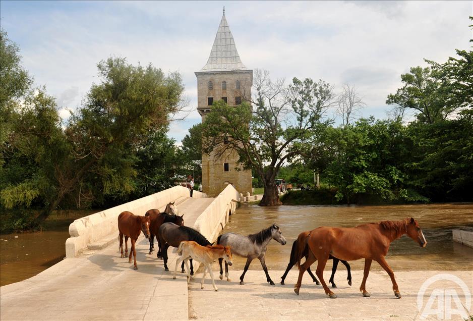 EDIRNE'DEKI NEHIR DEBILERI YUKSELDI