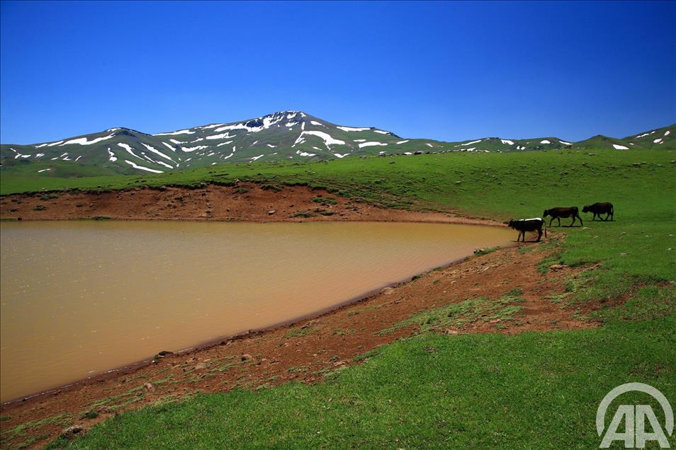 KARADENIZ YAYLALARI