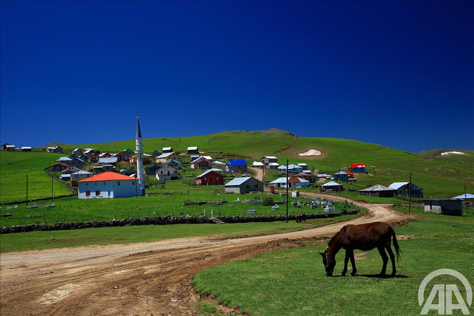 KARADENIZ YAYLALARI