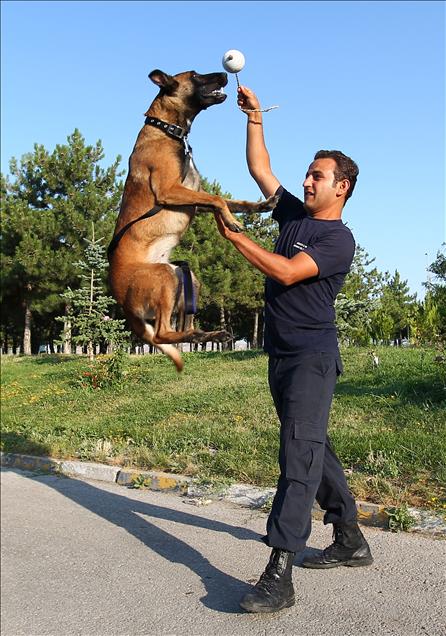 MEZUN OLDULAR, ENKAZ ALTINDA CANLI ARAYACAKLAR