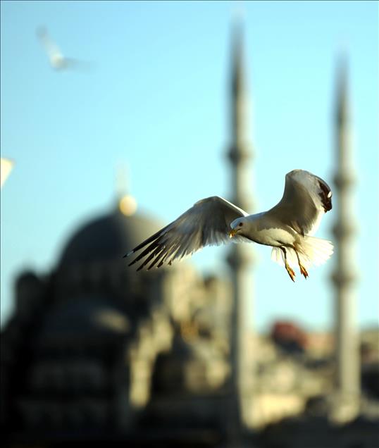 BOGAZIN ''OZGUR COCUKLARI'' MARTILAR