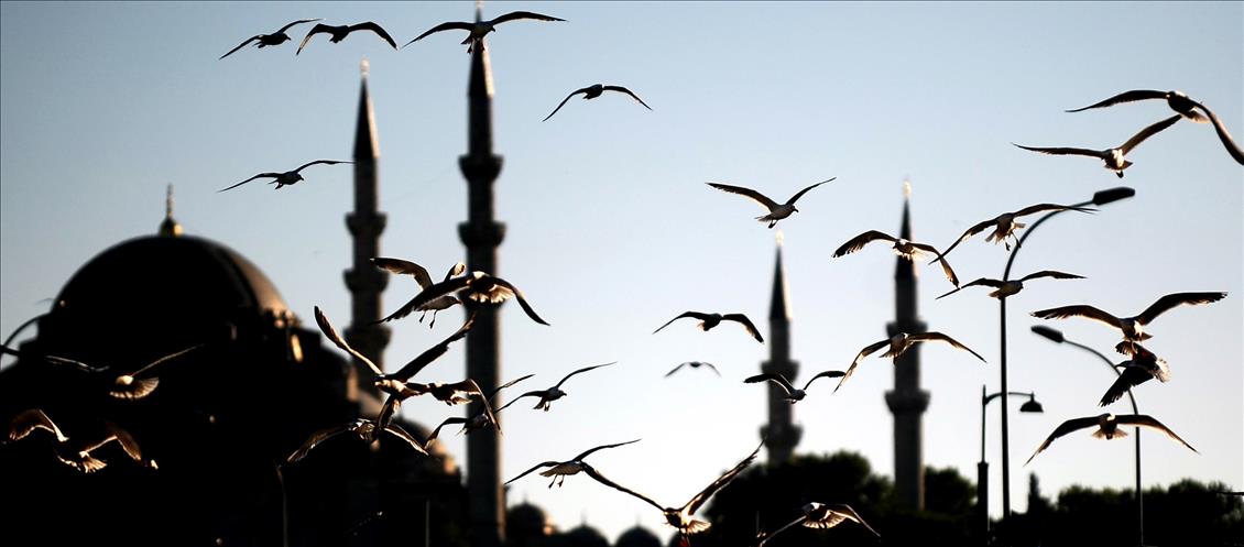 BOGAZIN ''OZGUR COCUKLARI'' MARTILAR