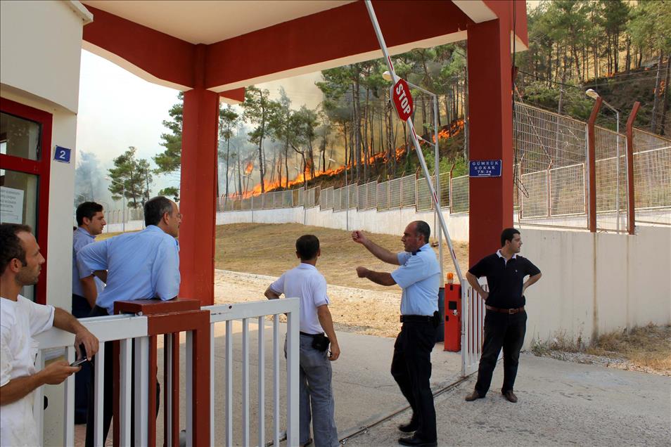TURKIYE-SURIYE SINIRINDA YANGIN