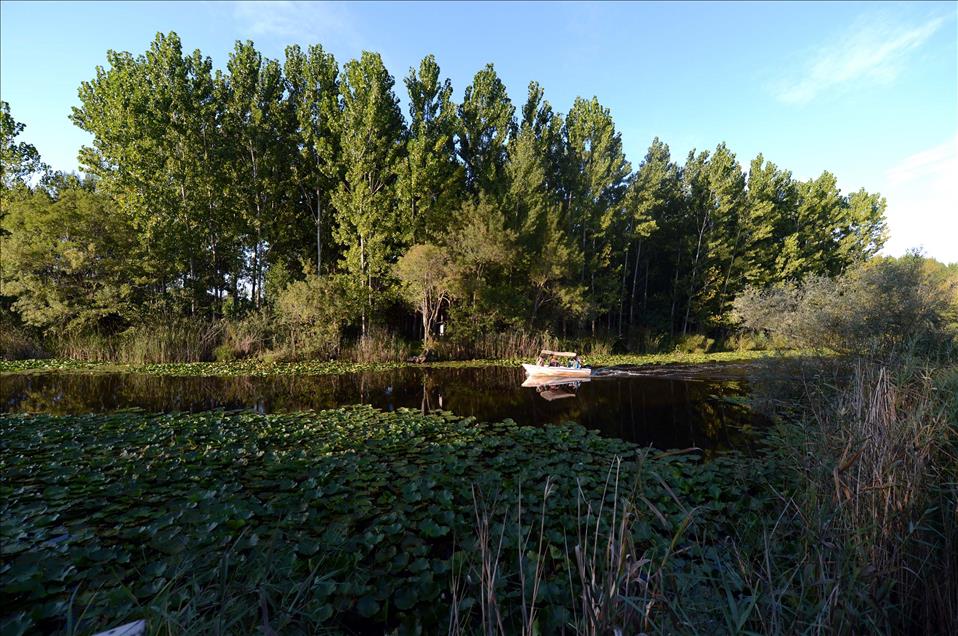 ''MARKA KENT SAKARYA'' PROJESI