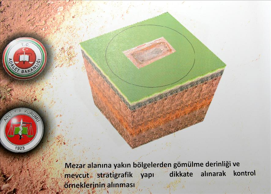 ADLI TIP KURUMU BASKANI DOC. DR. HALUK INCE