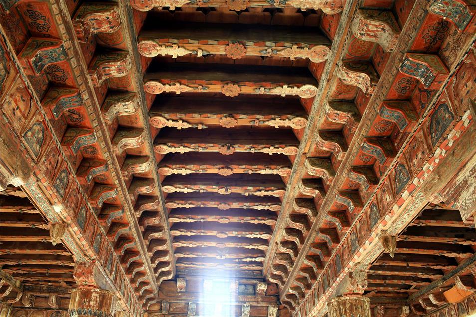CIVISIZ CAMI