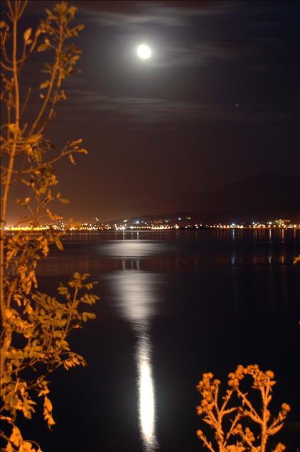 AY'IN BINBIR HALI
