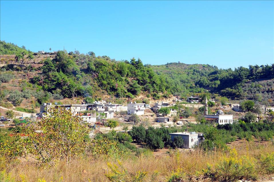 AA LAZKIYE'NIN BAYIR-BUCAK BOLGESINDE