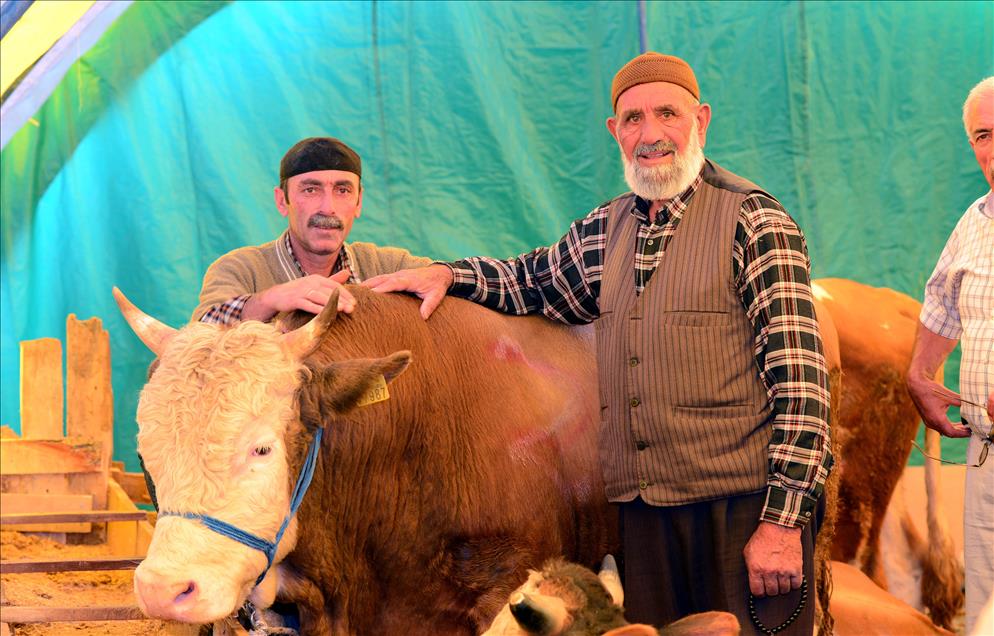 BASKENT'TE KURBAN PAZARLARI