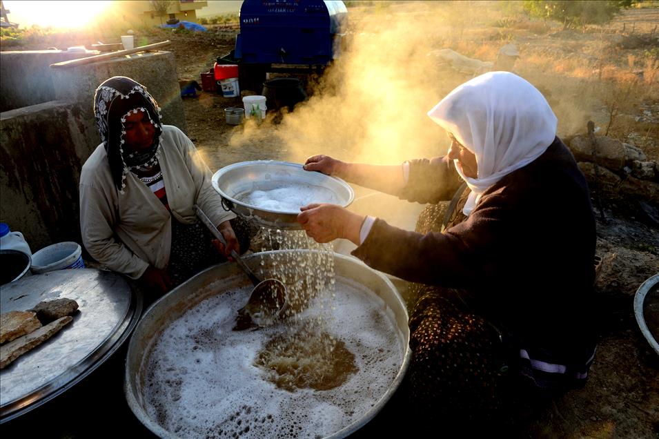 GUNEYDOGU'DA BAGBOZUMU SEZONU YASANIYOR