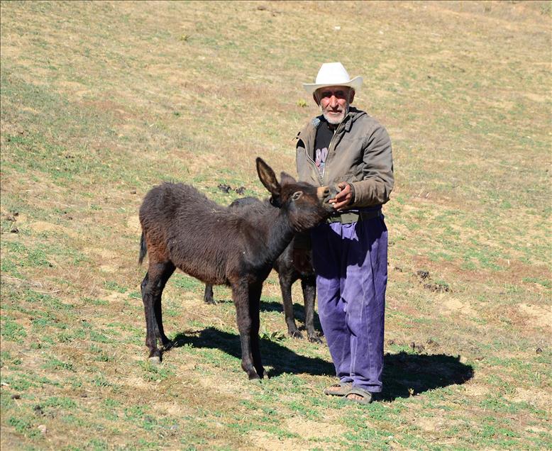 ''TOPLADIGI ESEKLER BASINA DERT OLDU''