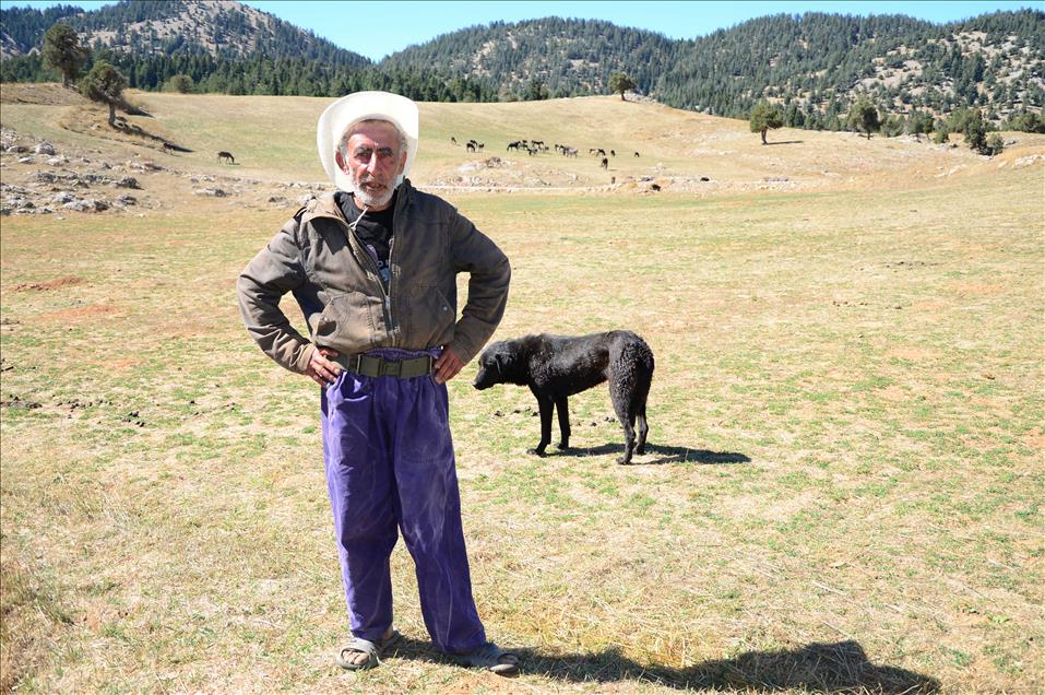 ''TOPLADIGI ESEKLER BASINA DERT OLDU''