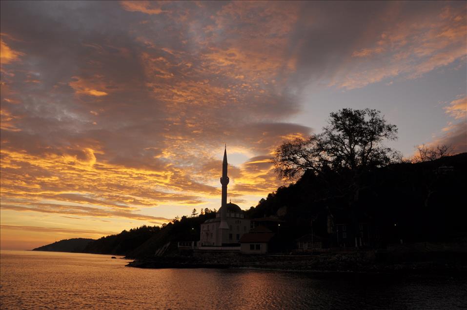 TARIHI BAYEZID CINARINDA SONBAHAR