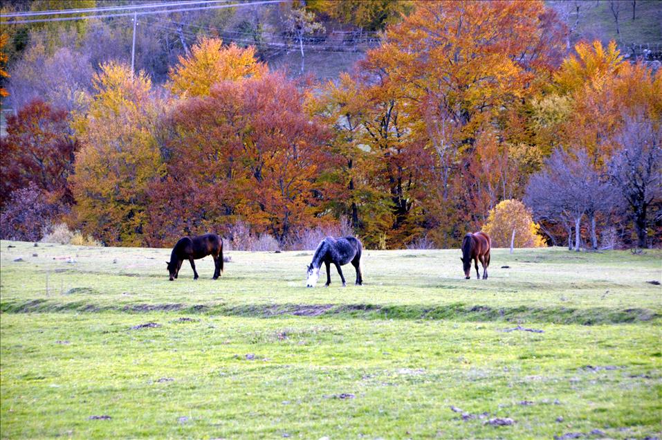 BOSNA-HERSEK KASIMDA BIR BASKA GUZEL