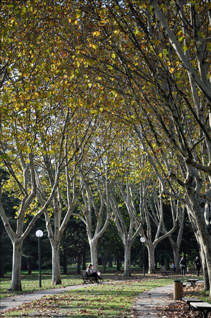 BURSA'DA ''SON'' BAHAR