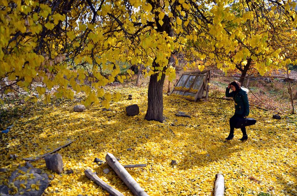 VAN FOTOGRAF TUTKUNLARI ICIN FARKLI MEKANLAR SUNUYOR