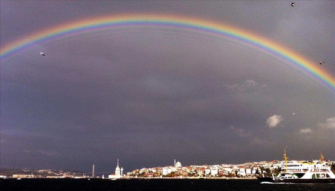 ISTANBUL'DA GOKKUSAGI