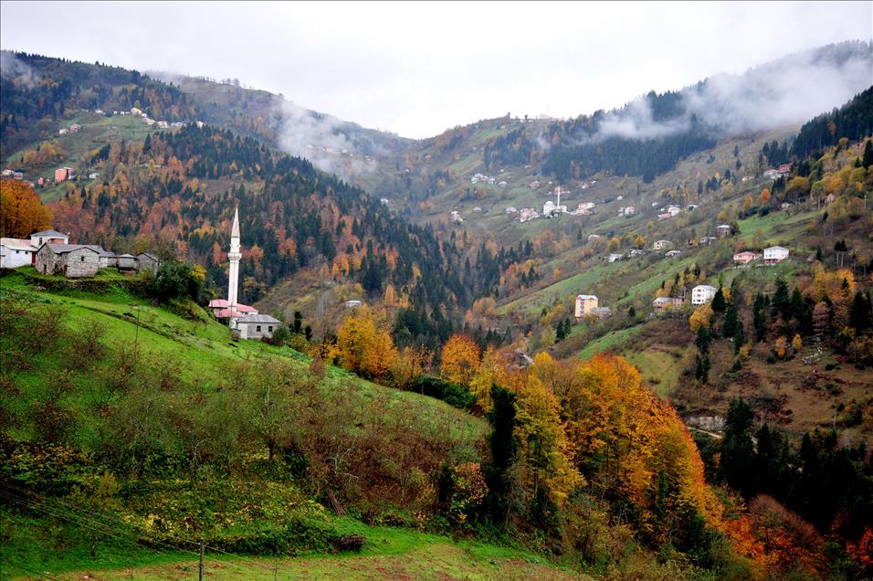 KARADENIZ RENGARENK 
