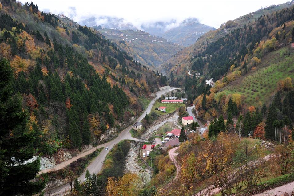 KARADENIZ RENGARENK 