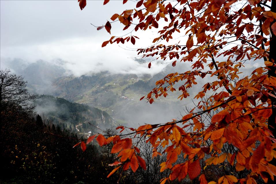 KARADENIZ RENGARENK 