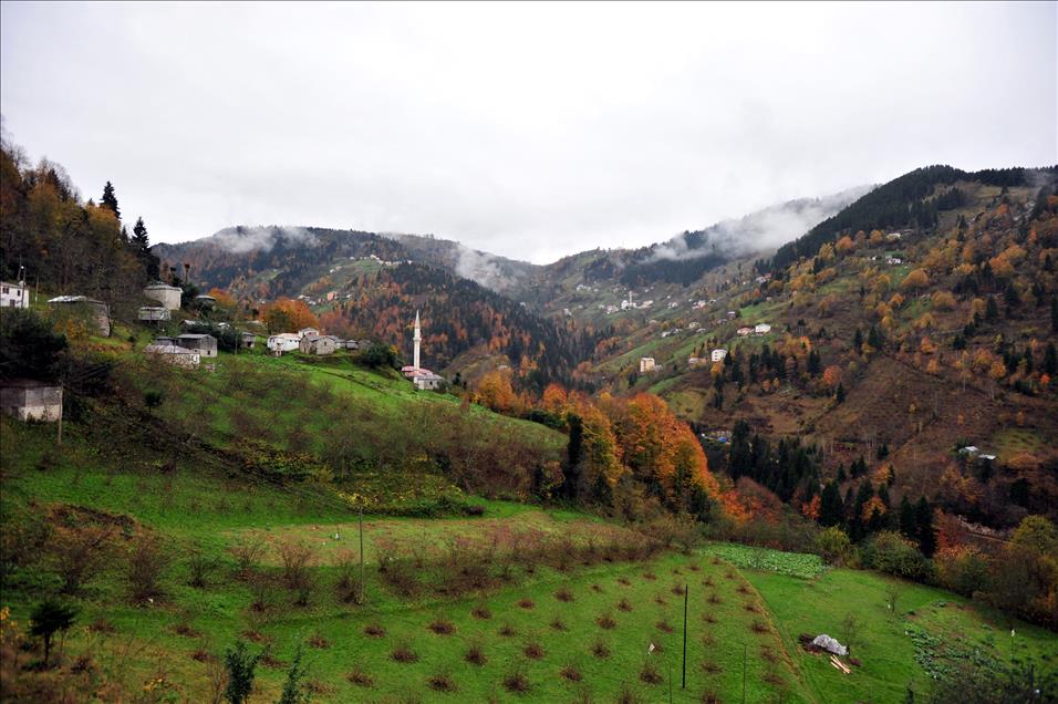 KARADENIZ RENGARENK 