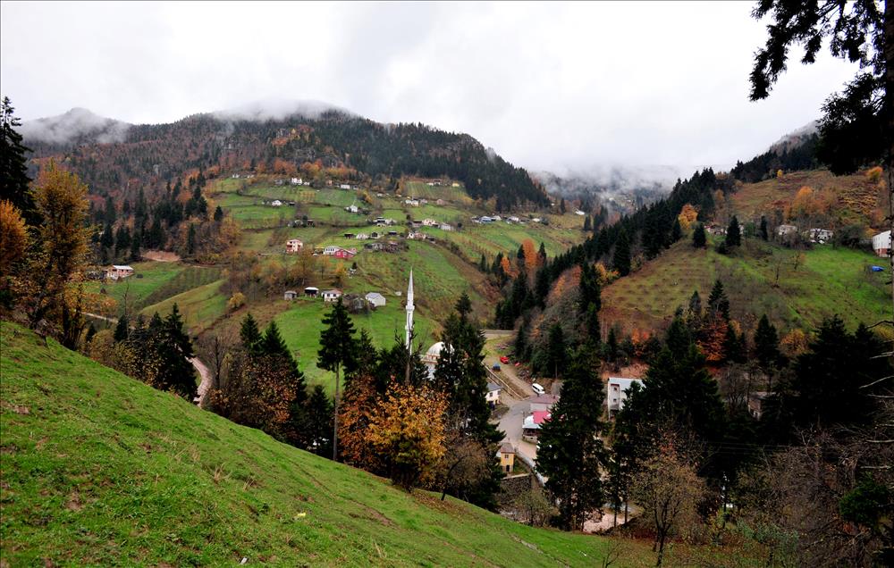 KARADENIZ RENGARENK 